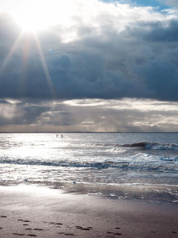 فيلا Hof Aan Zee ديشوك المظهر الخارجي الصورة